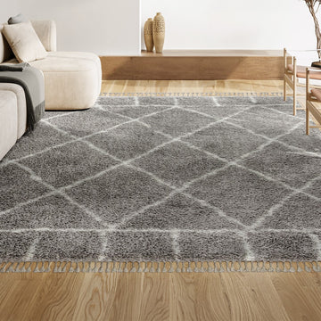 Mercer Shag Plush Tassel Moroccan Geometric Trellis Area Rug